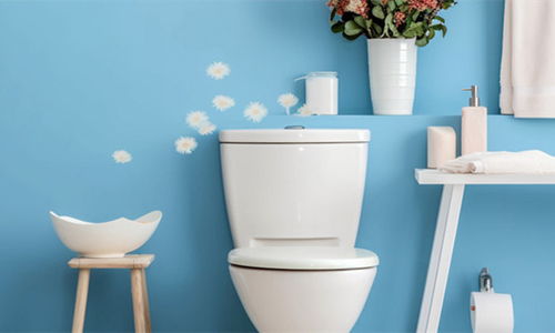 中国卫浴洁具行业发展状况与展望