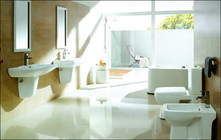 小水量大用途 3款节水马桶推荐，打造环保卫浴空间